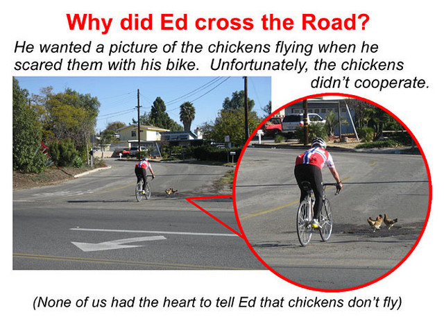 Why did Ed Cross the road?